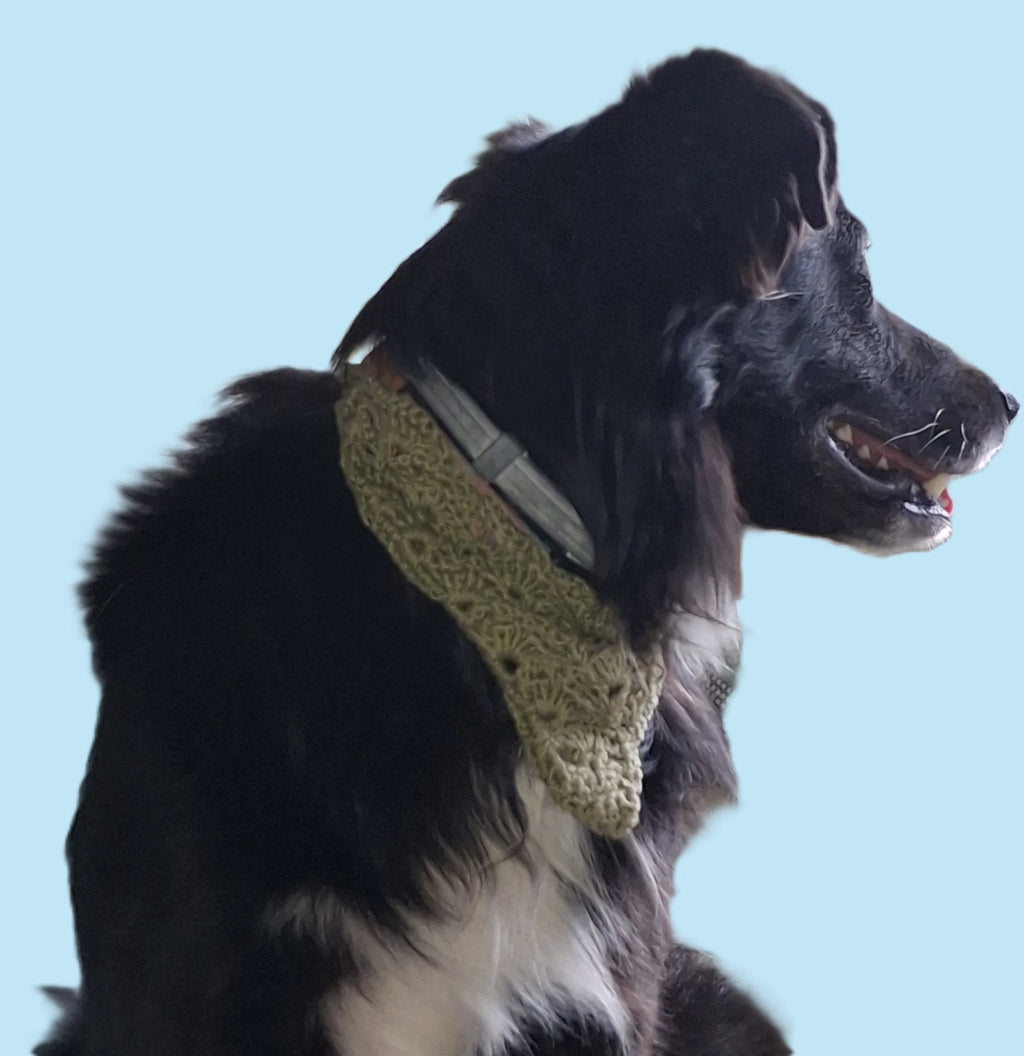 Bandana del Buen Peludo - Imagen 22