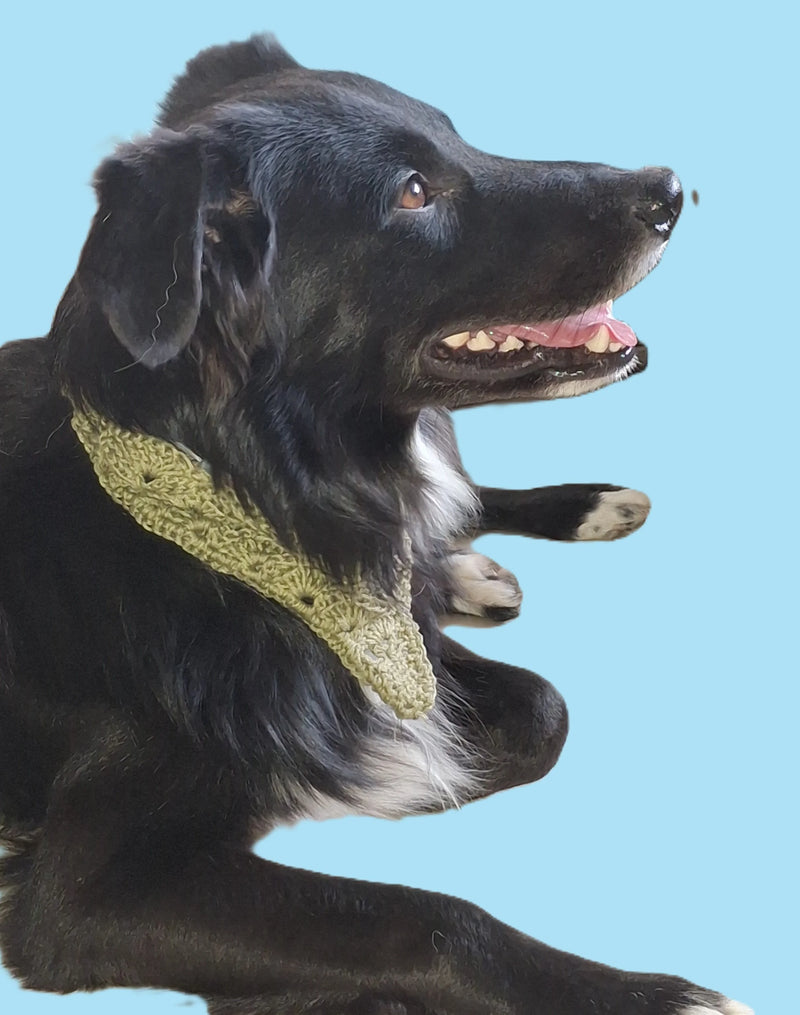Bandana Peludo Féliz