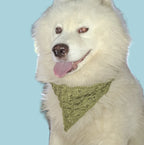 Bandana del Buen Peludo - Imagen 21