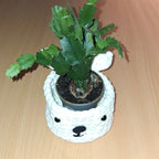 Cestillo BlanquiBoo - Imagen 9