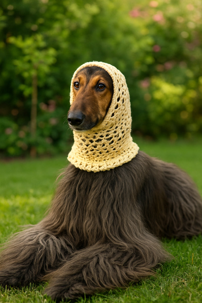 Snoods veraniegos para perros de orejas largas